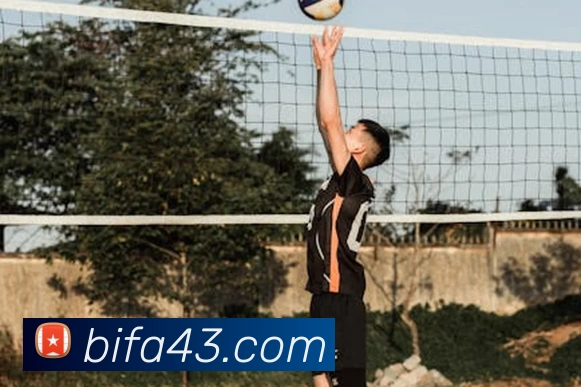 必发bifa发展历程